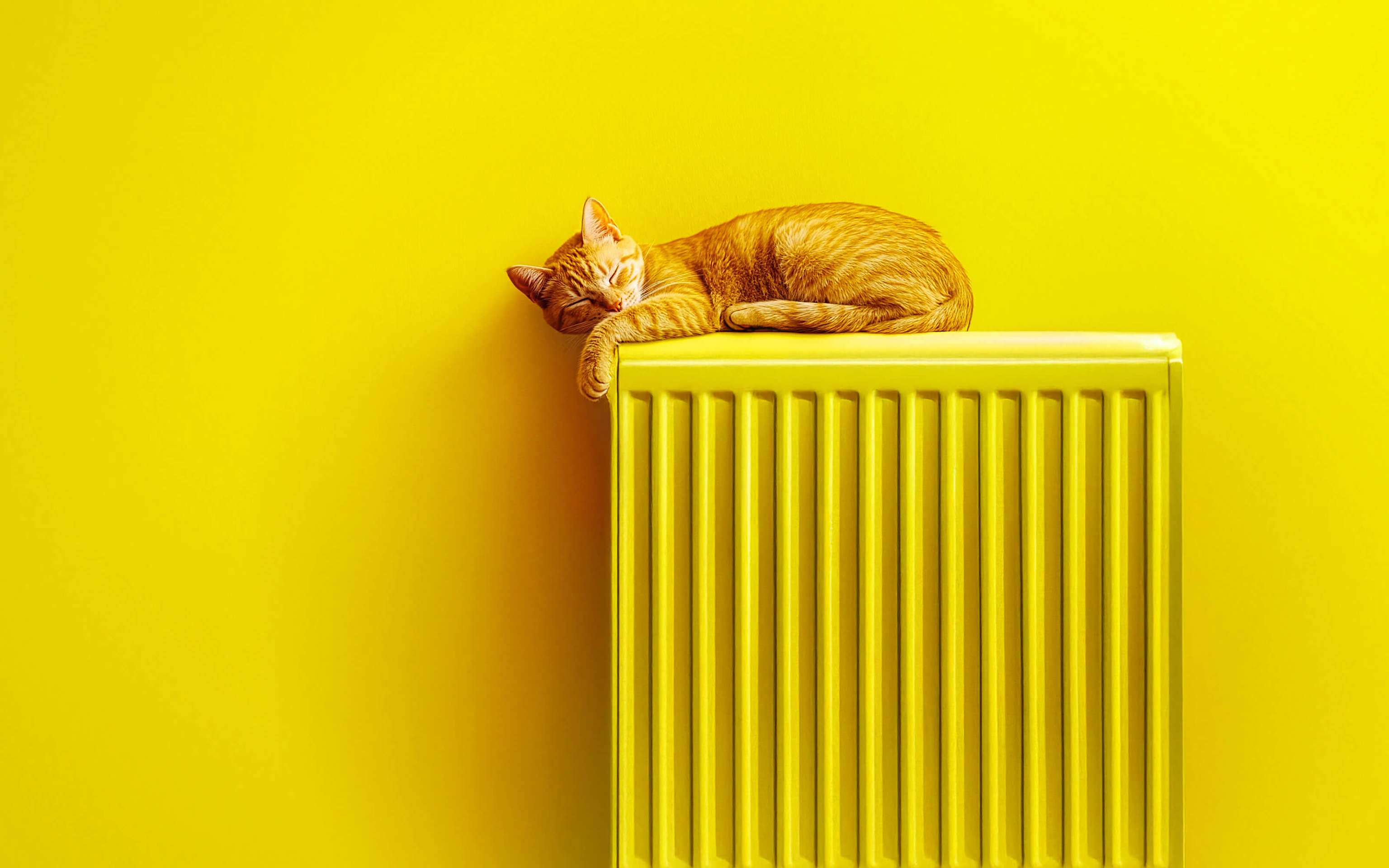 Katze schläft entspannt auf einer gelben Heizung in einem gelben Raum - KI generiert Katze schläft entspannt auf einer gelben Heizung in einem gelben Raum - KI generiert