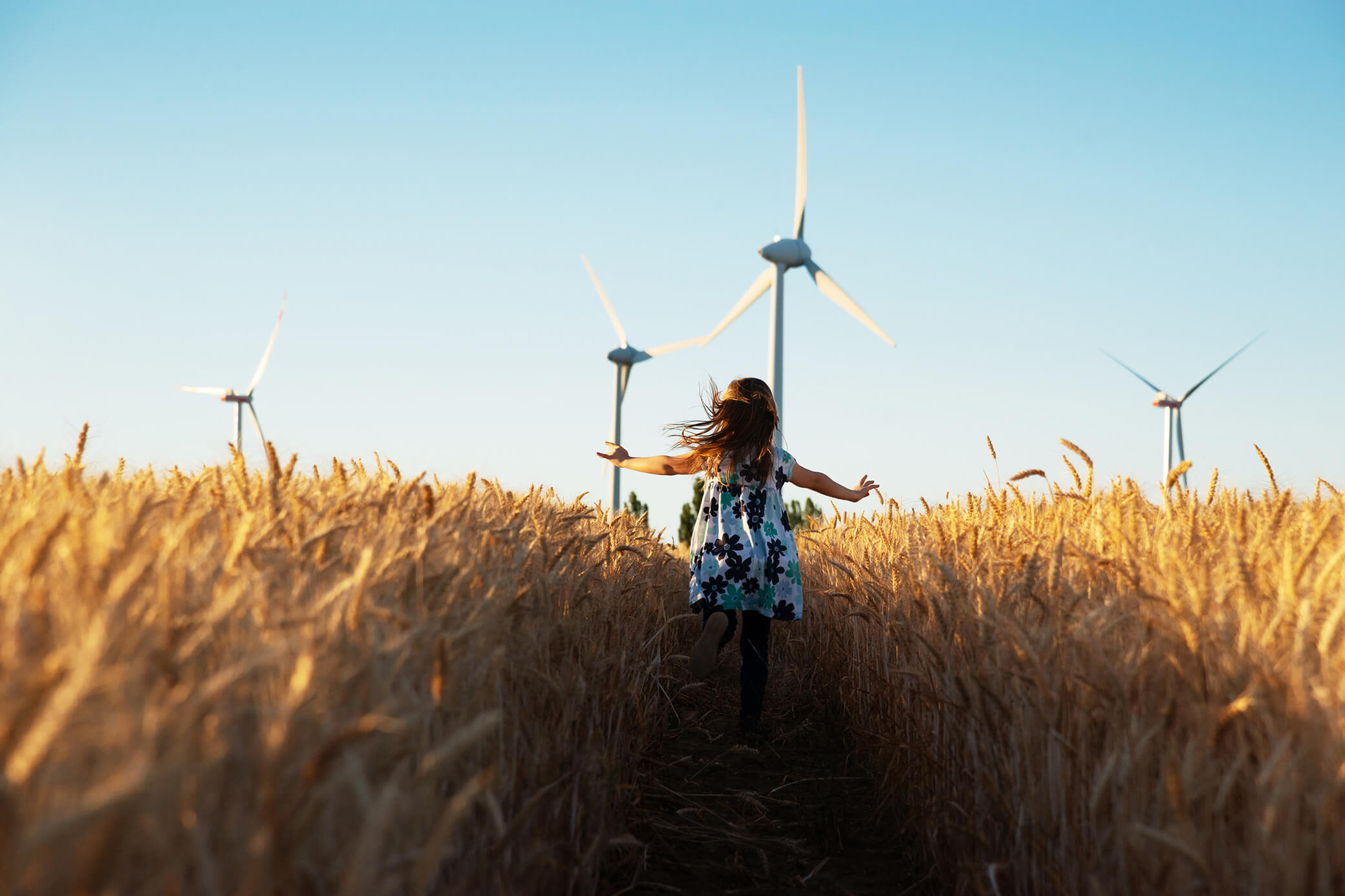 Die Energiewende ist zentral für eine nachhaltige Zukunft. Kleines Mädchen läuft durch ein Kornfeld mit Windenergieanlagen