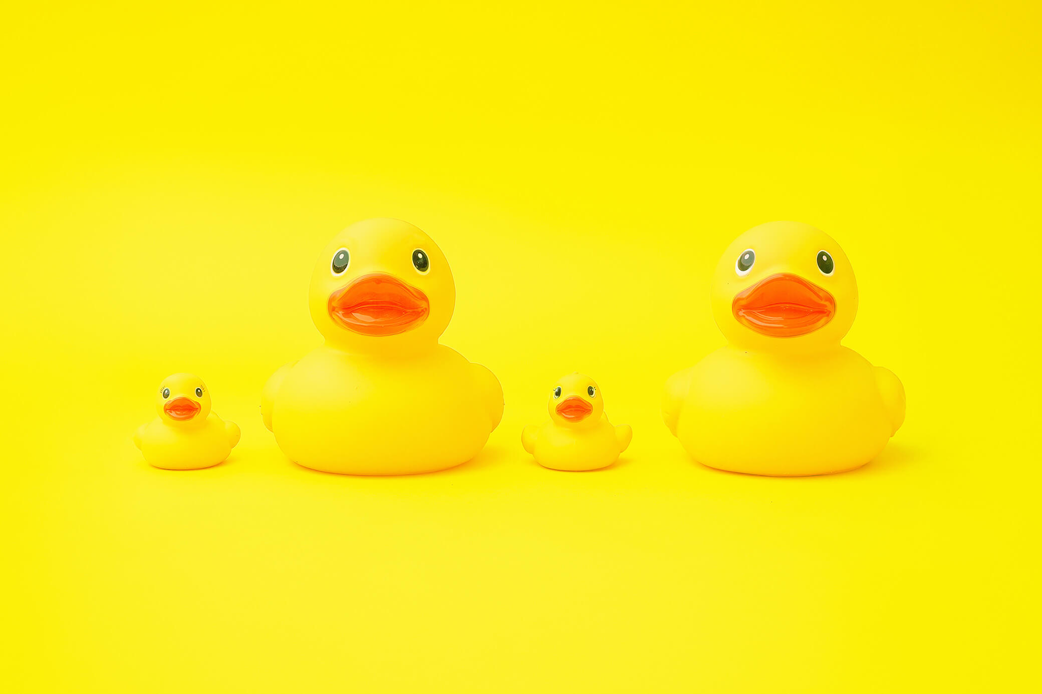 Vier gelbe Gummi-Enten in groß und klein sitzen nebeneinander - KI generiert