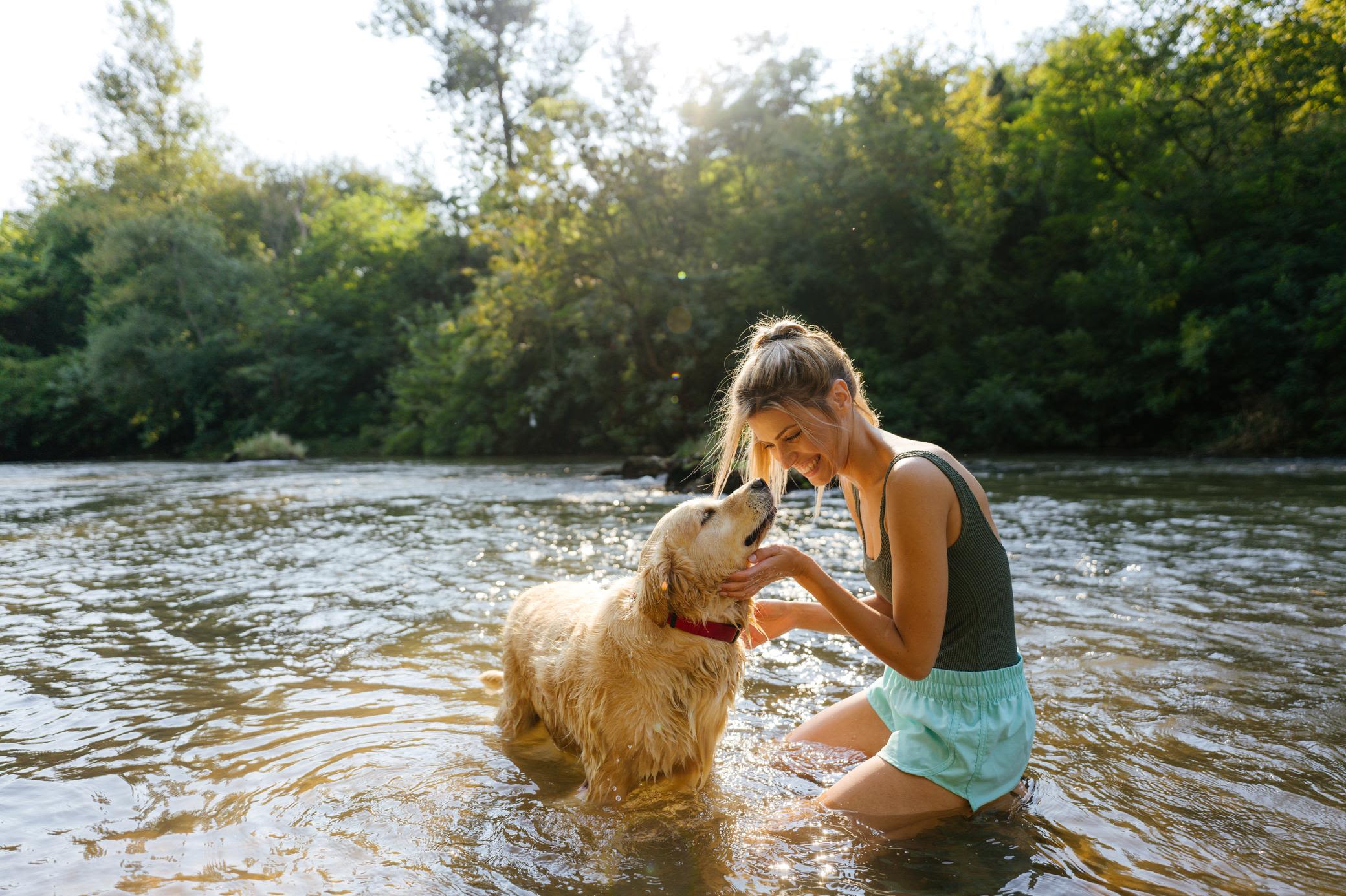 Wasser hat viele Facetten - erneuerbare Energie Wasserkraft Frau sitzt bei Sonnenschein im Wasser an einem Fluss und spielt mit Hund