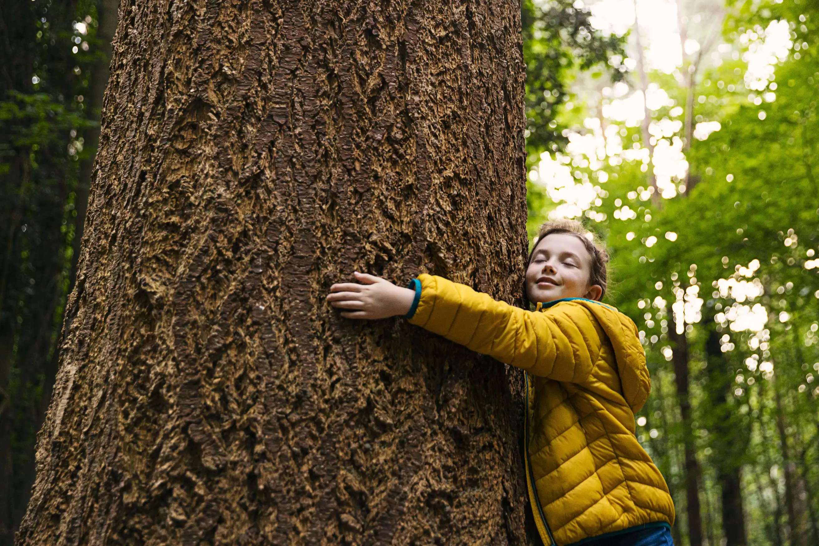 Ein Kind in gelber Jacke umarmt einen Baum Ein Kind in gelber Jacke umarmt einen Baum.