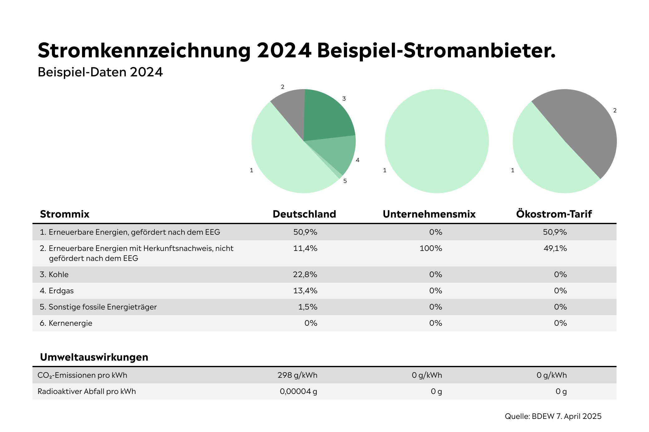 Grafik Beispiel einer Stromkennzeichnung eines Stromanbieters in Deutschland 2024 