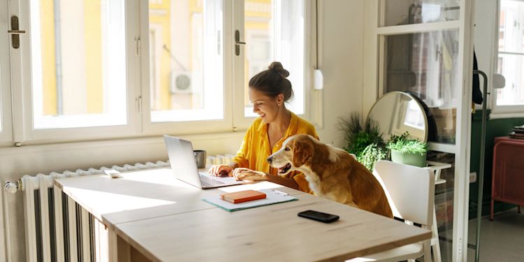 Der aktuelle Strompreis unter der Lupe Eine junge Frau arbeitet zuhause am Laptop, denkt über Strompreise nach, Hund sitzt neben ihr