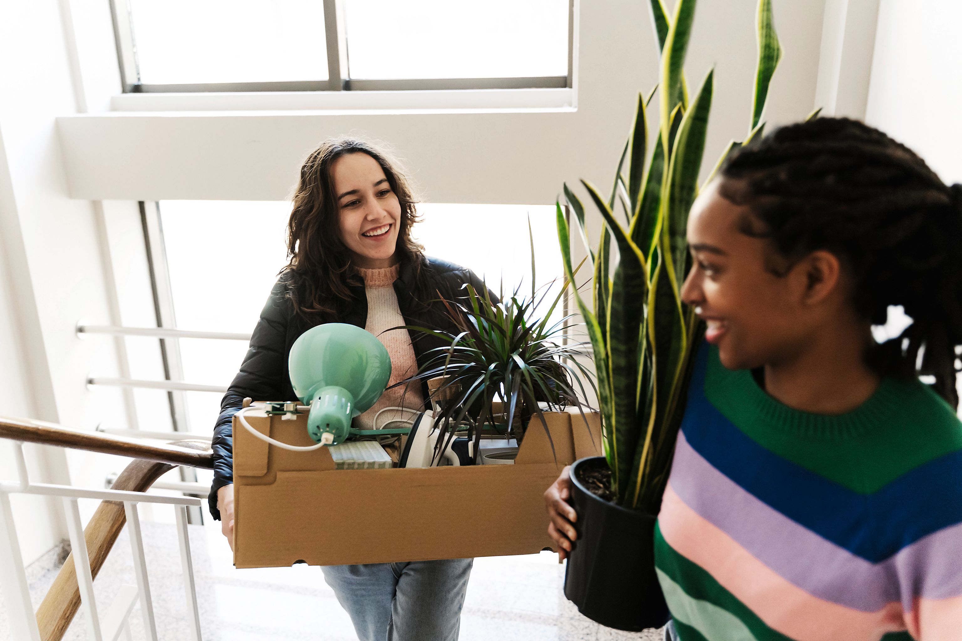 Zwei Frauen tragen gemeinsam Umzugskartons durch ein Treppenhaus in ihre neue Wohnung.