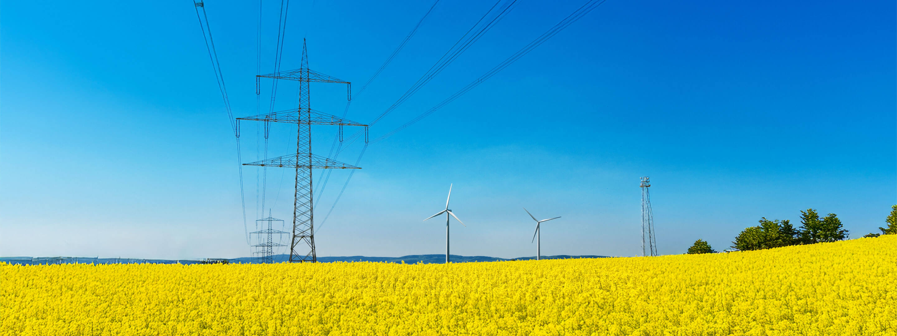Strommast mit Hochspannungsleitungen in einem Rapsfeld mit Windenergieanlagen im Hintergrund