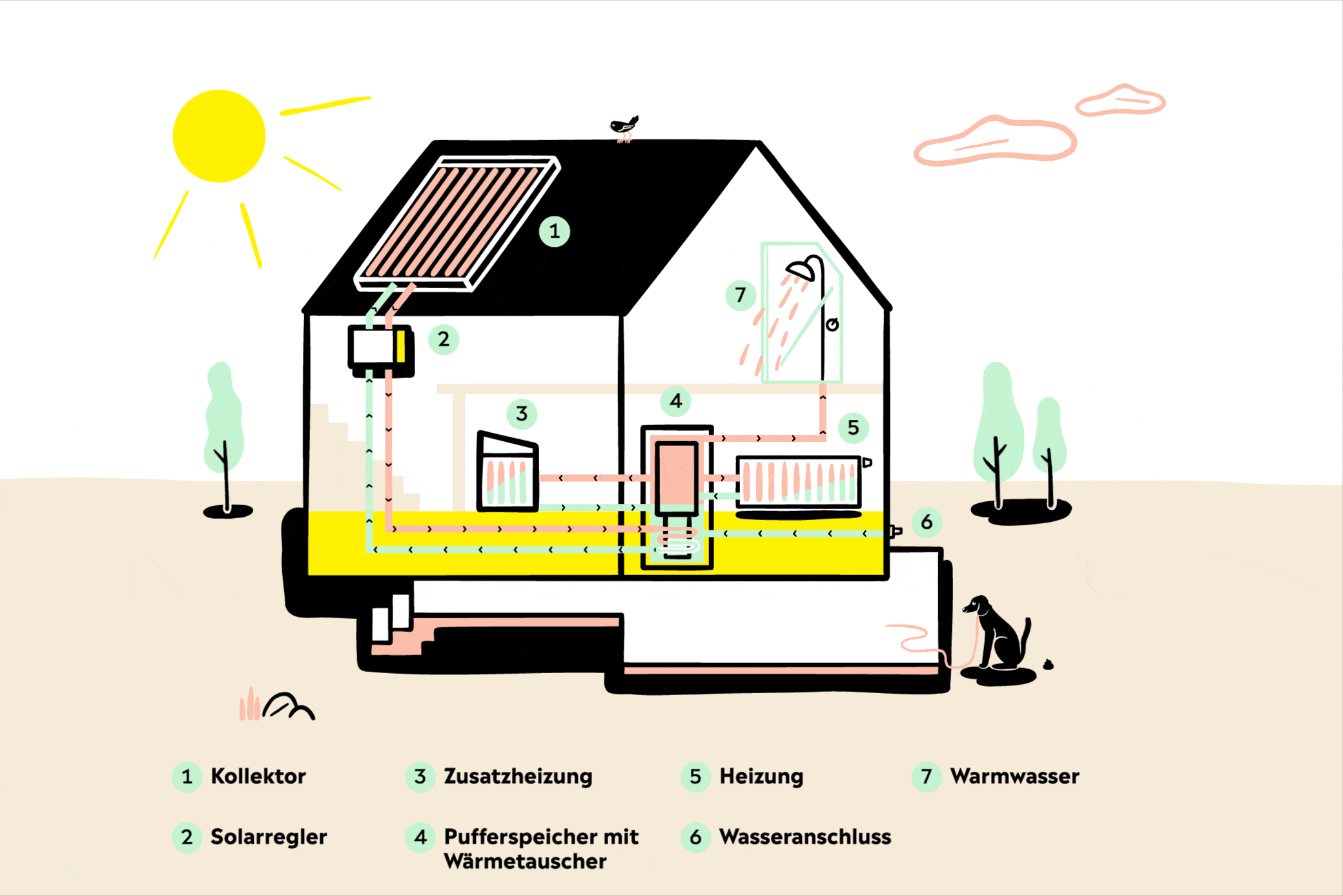 Solarthermie für heißes Wasser und zum Heizen im Haus Animation einer Solarthermie Anlage einfach erklärt