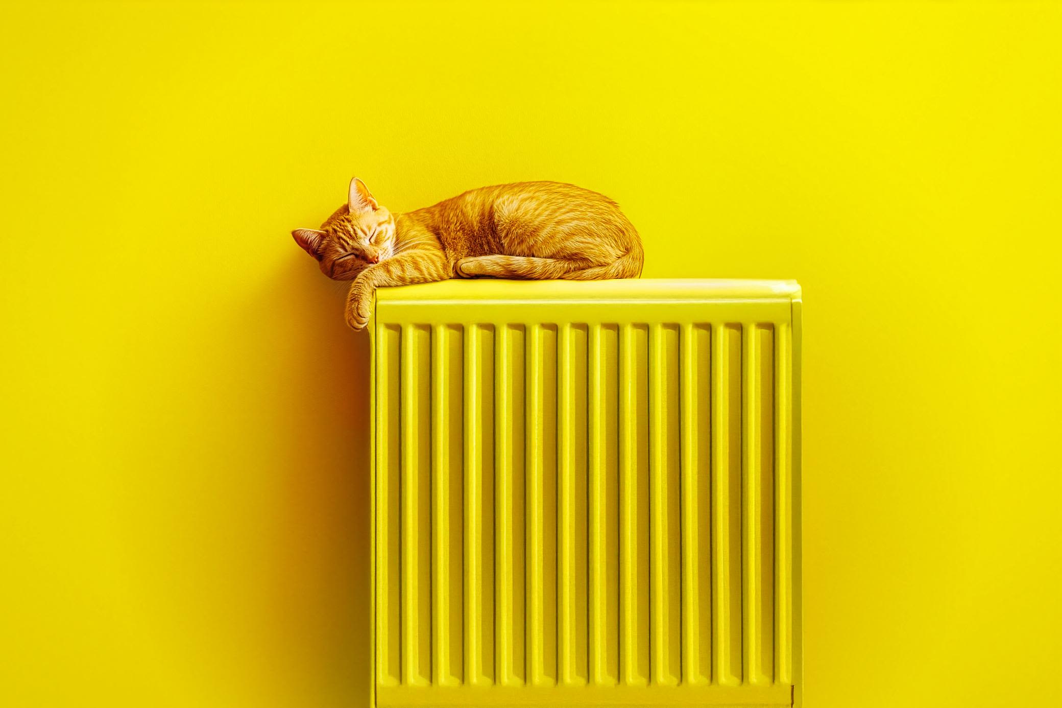 Wärmestromtarife: Perfekt für Wärmepumpe & Nachtspeicherheizung Katze schläft entspannt auf einer gelben Heizung in einem gelben Raum - KI generiert