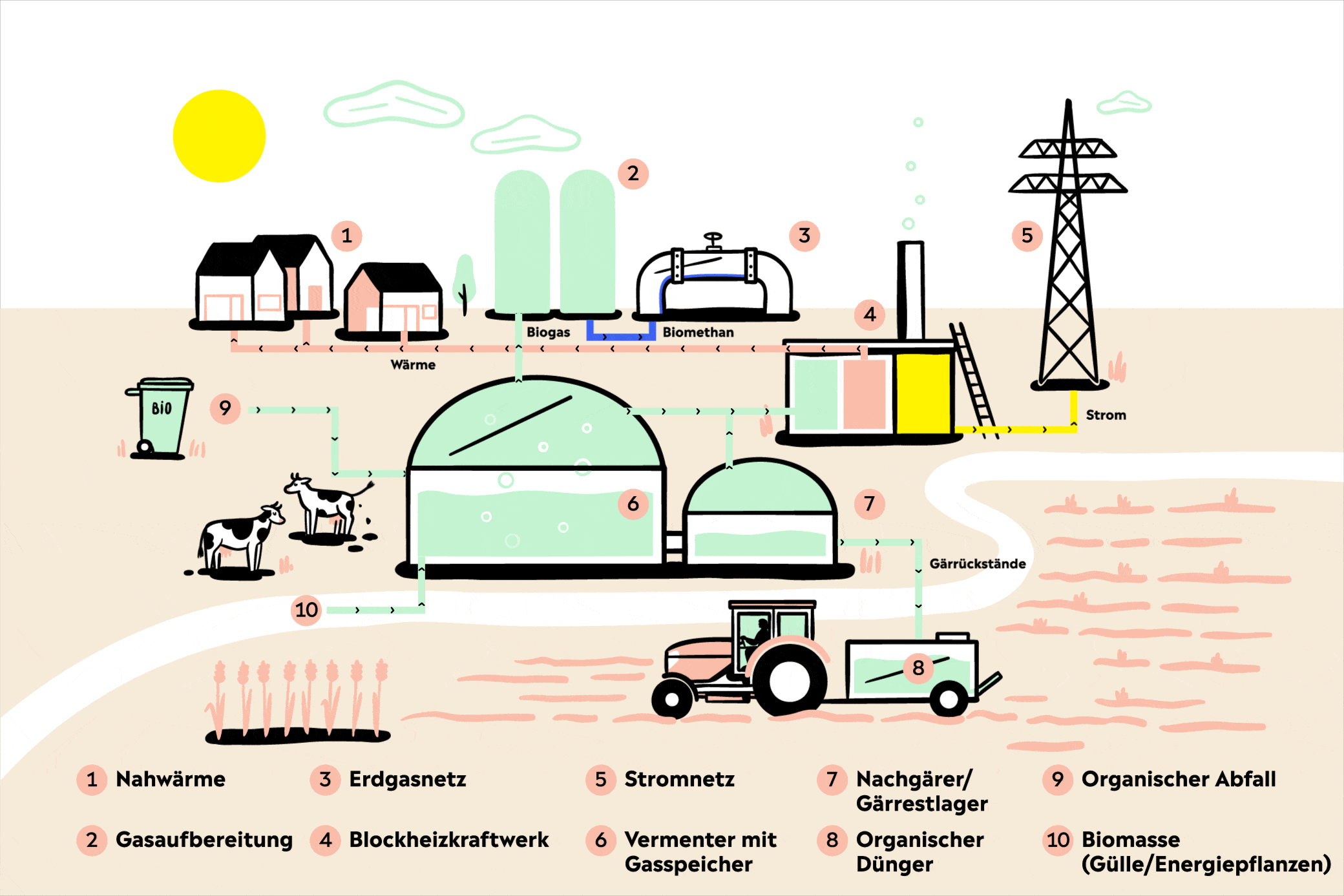 Eine Biogasanlage nutzt Fermentation zur Energiegewinnung Animation einer Biogasanlage einfach erklärt