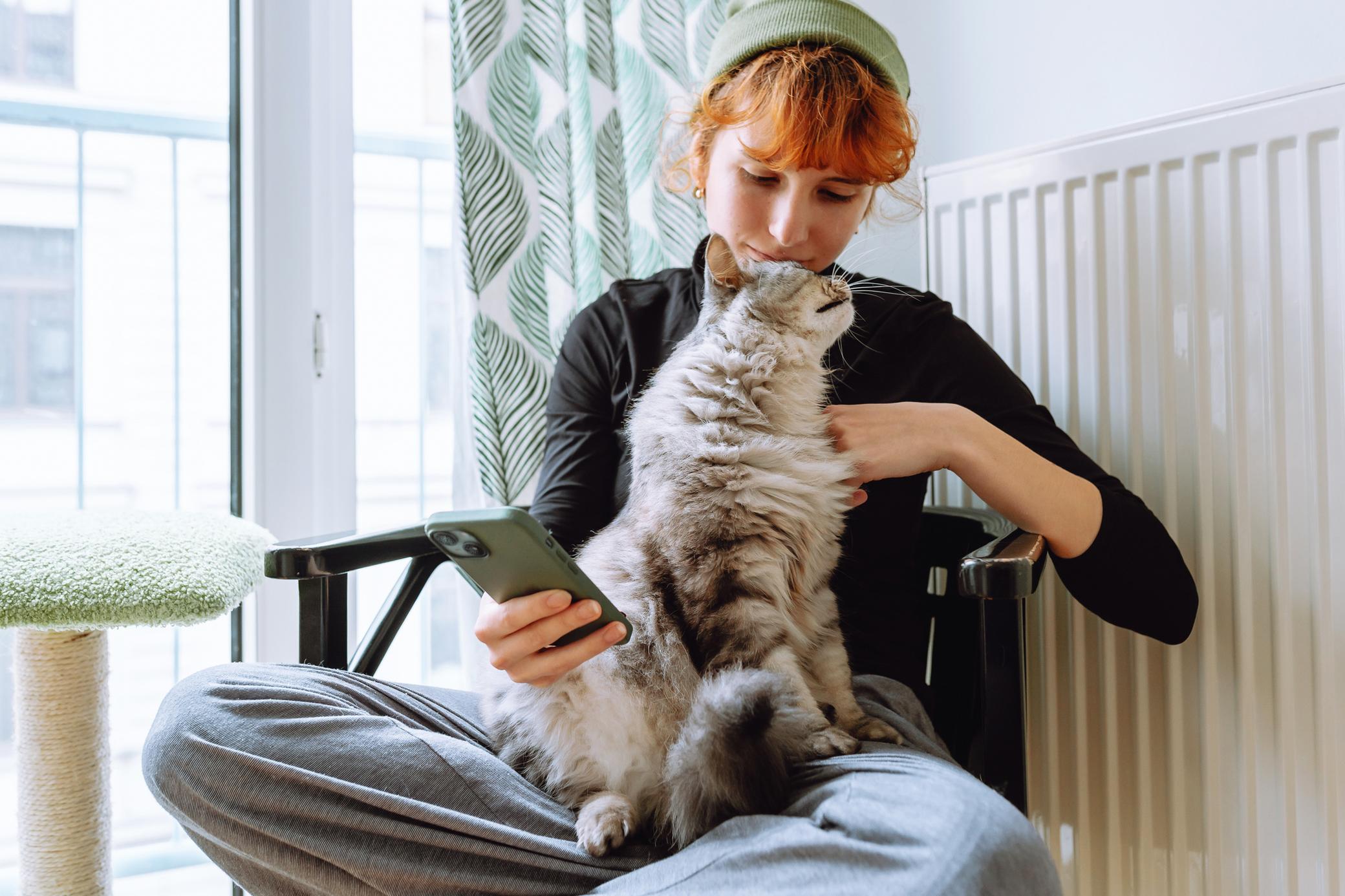 Junge Frau am Handy sitzt auf einem Stuhl am Fenster mit einer Heizung hinter sich und krault ihre Katze.