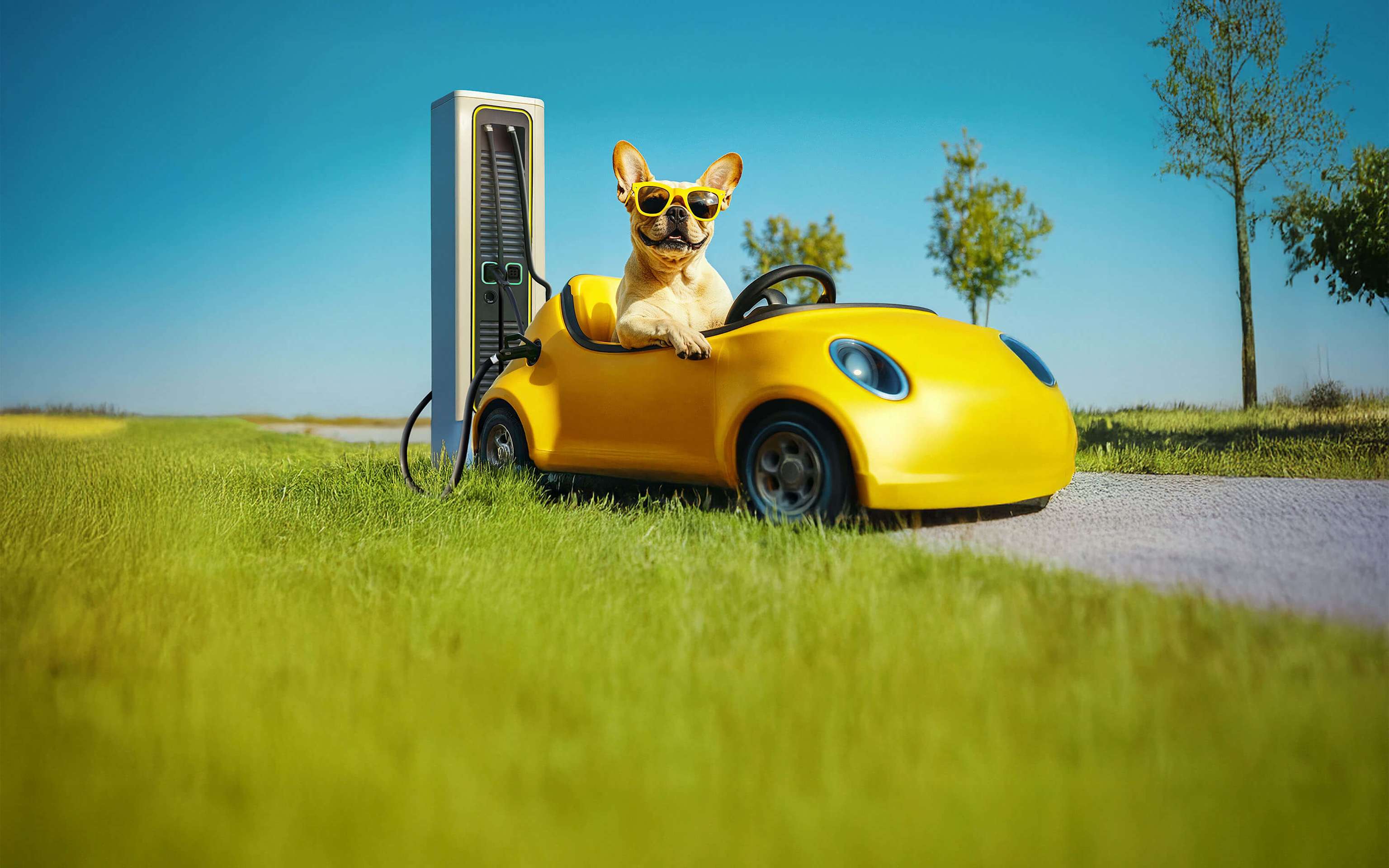 Bild von einem French Bully Hund der im Elektroauto sitzt und an Ladesäule lädt - KI-generiert Bild von einem French Bully Hund der im Elektroauto sitzt und an Ladesäule lädt - KI-generiert