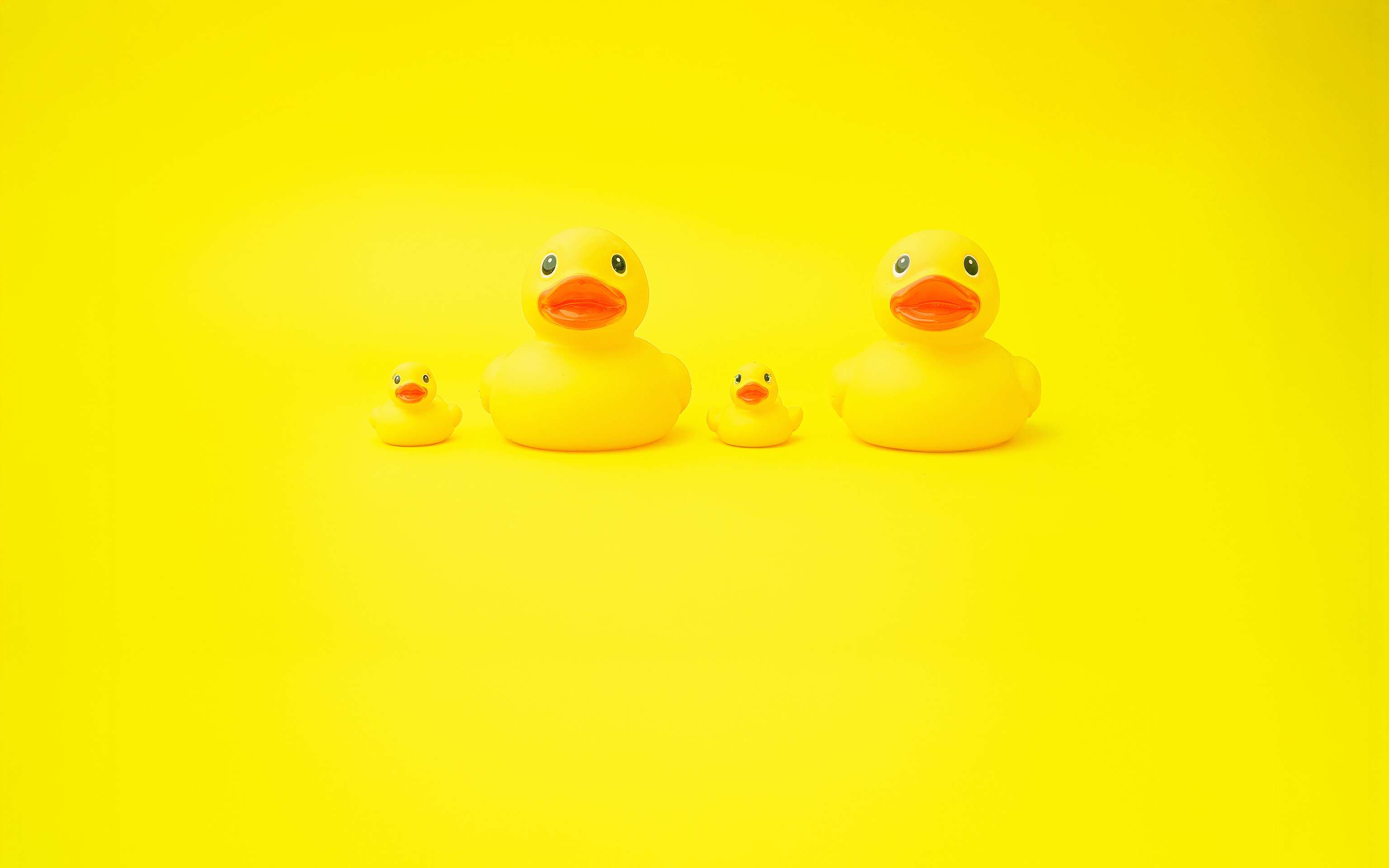 Vier gelbe Gummi-Enten in Groß und Klein sitzen nebeneinander - KI generiert