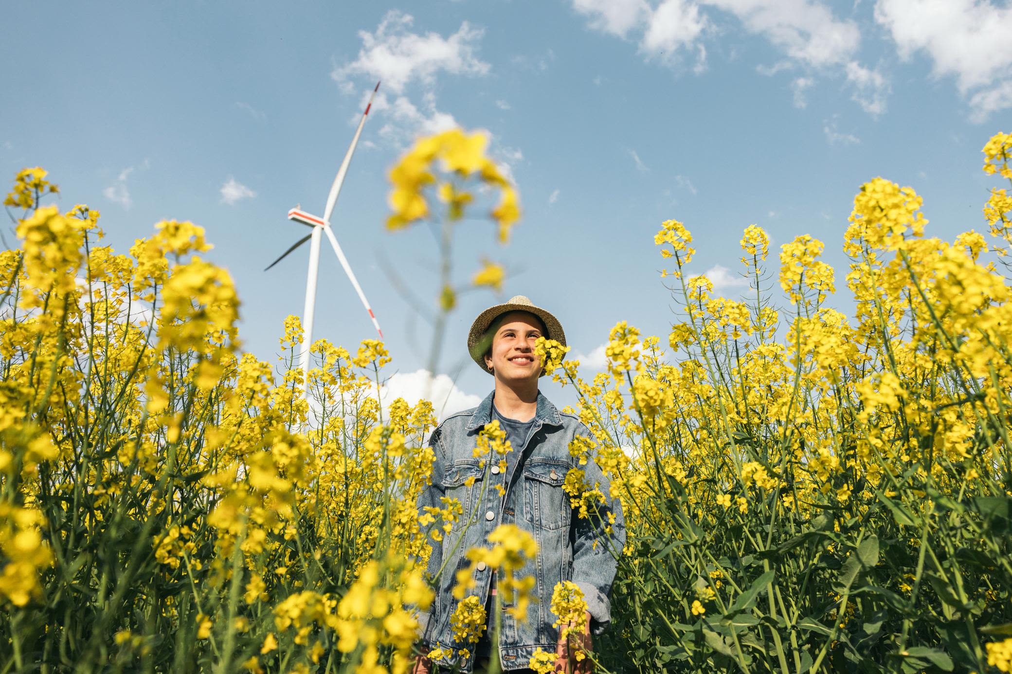 Der Ausbau Erneuerbarer Energien wird gefördert Junger Mann in Rapsfeld mit Windrad im Hintergrund