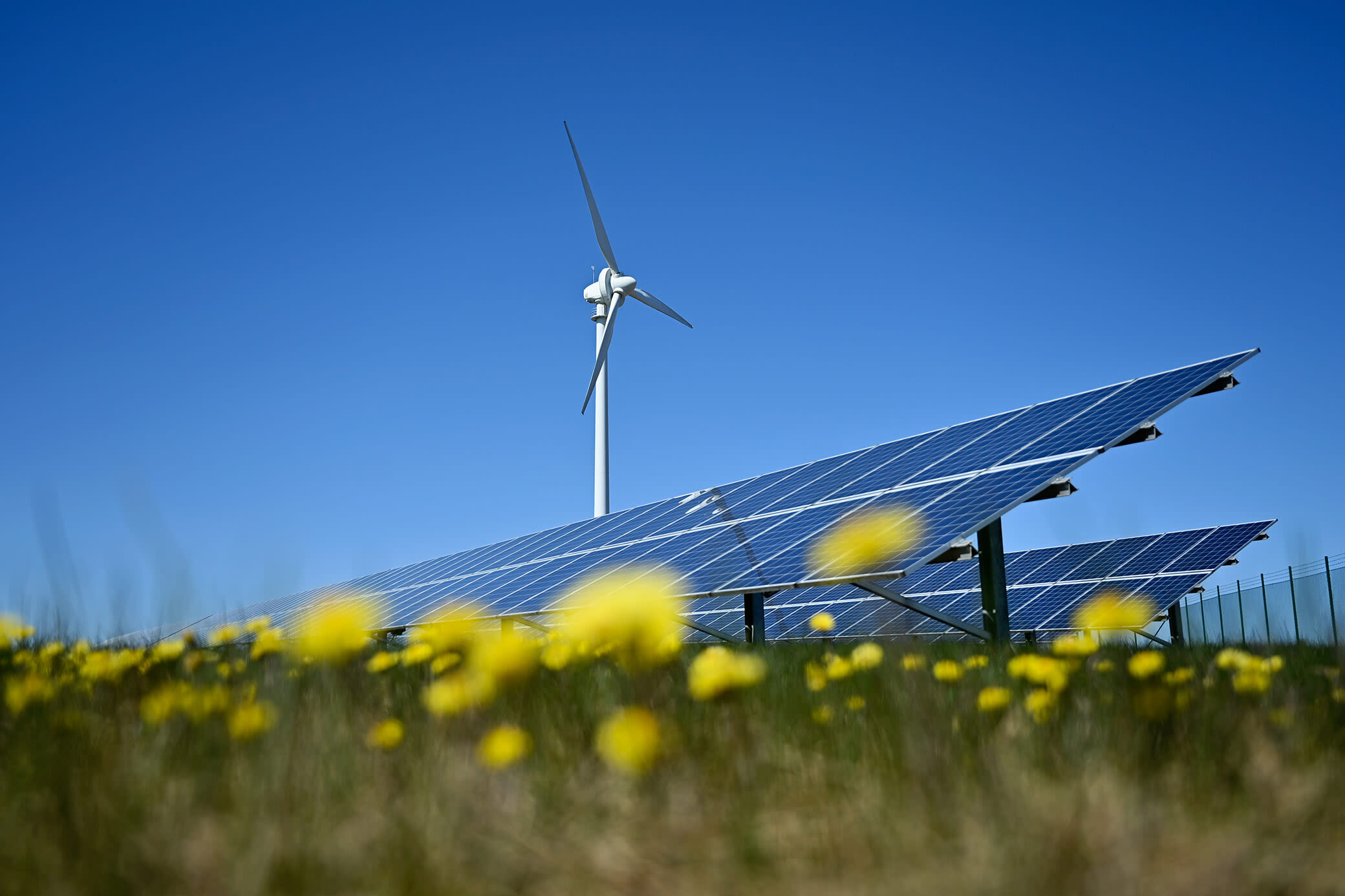 Erneuerbare Energien sorgen umweltfreundlich für grünen Strom Eine Windenergieanlage und Solarpark im Blumenfeld